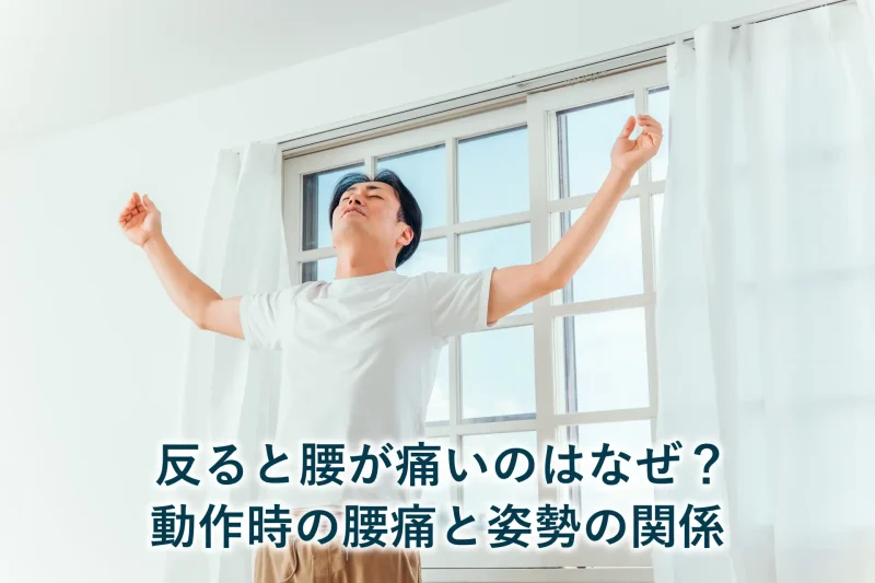 反ると腰が痛いのはなぜ?動作時の腰痛と姿勢の関係