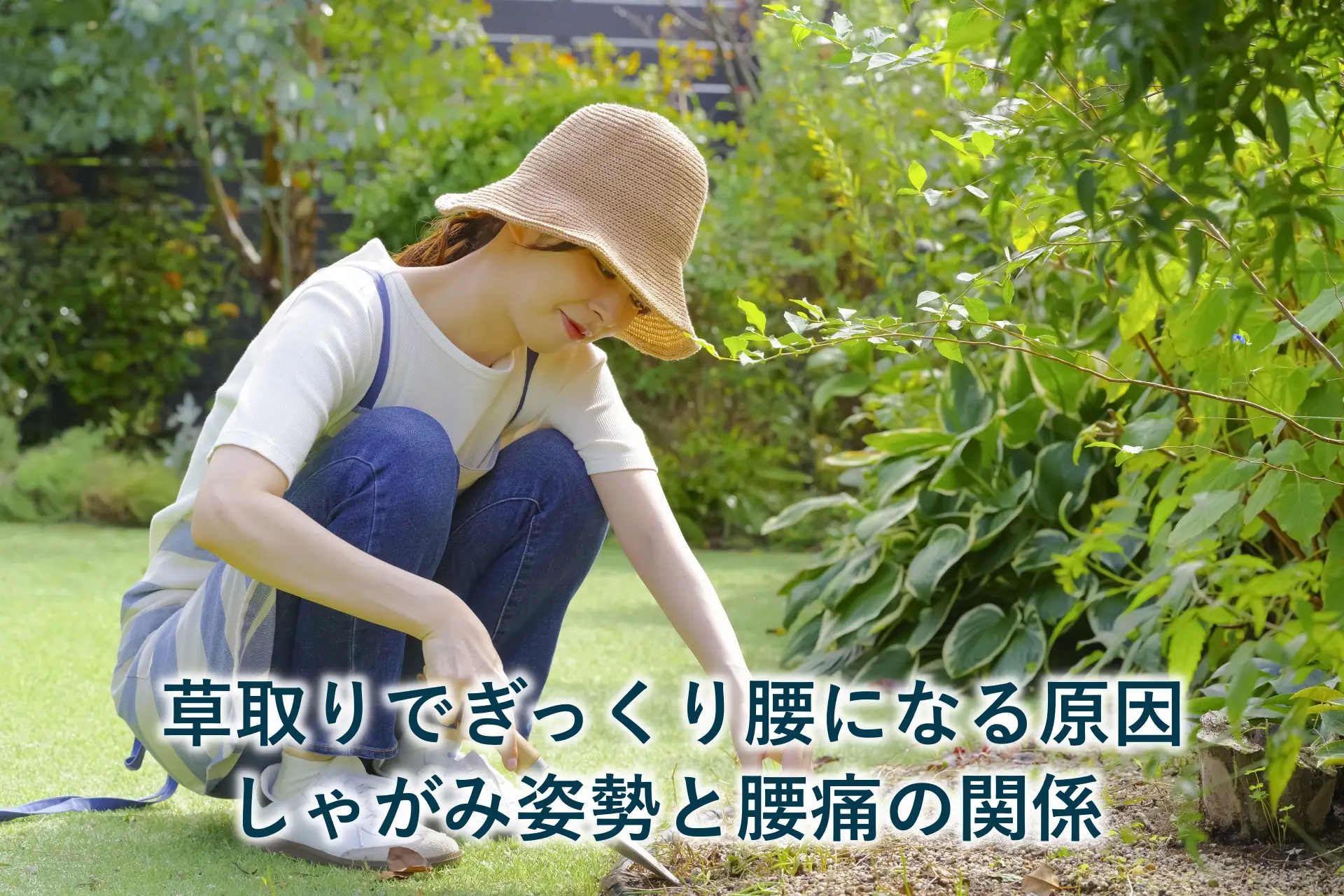 草取りでぎっくり腰になる原因|しゃがみ姿勢と腰痛